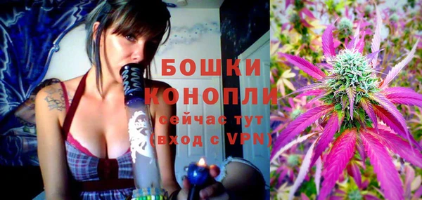 стаф Зерноград